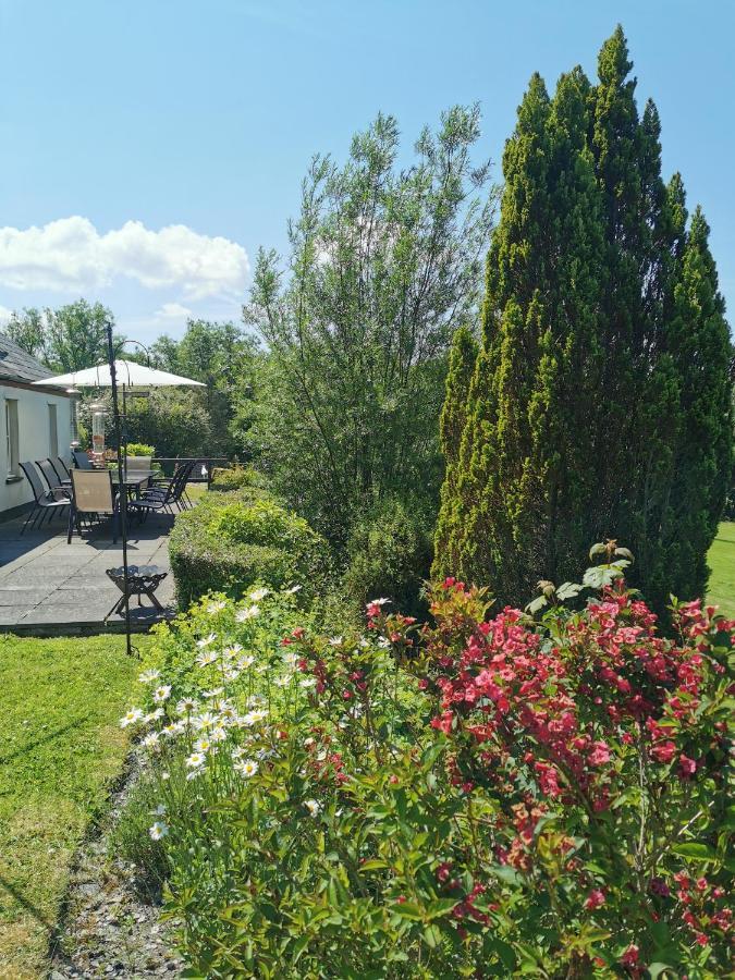 Wellstone Cottages - Honey Coach House Llanfyrnach Luaran gambar