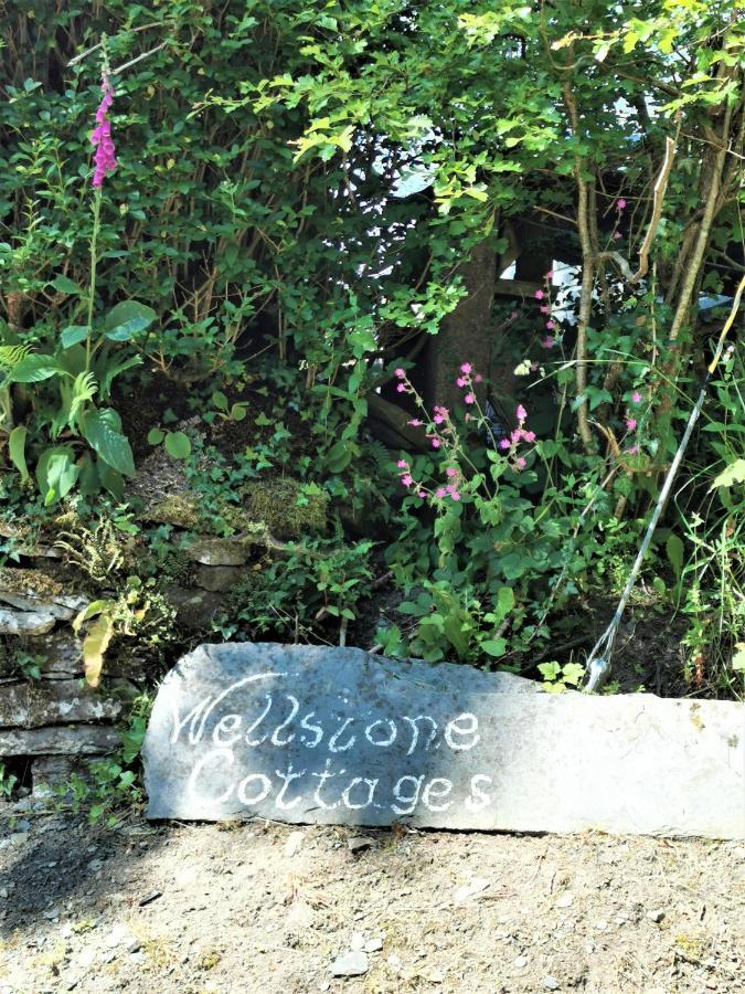 Wellstone Cottages - Honey Coach House Llanfyrnach Luaran gambar